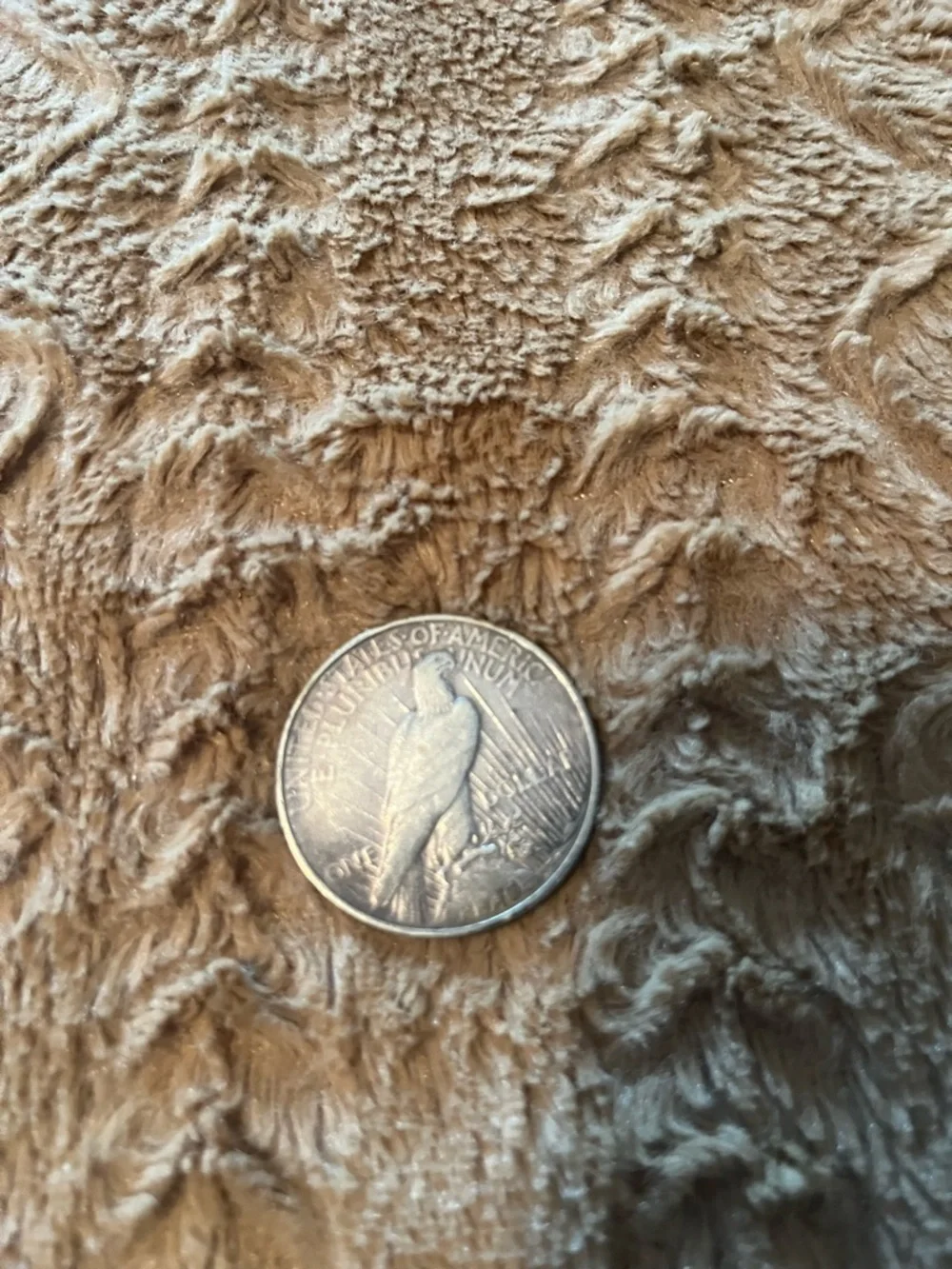 Silver Peace Silver Dollar Coin - 1923 - Picture 2 of 2